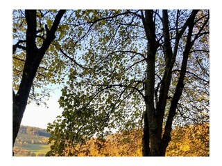 Casa per le vacanze Meschede Ambiente 36