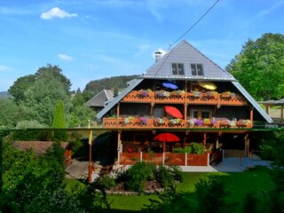 Unser Haus im Sommer