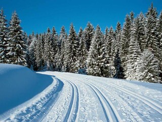 50 km Langlaufloipen laden ein