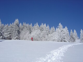 Einsamer Schneeschuhwanderer am Herzogenhorn
