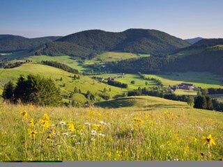 unser Bernauer Hochtal im Sommer