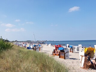 Appartamento per vacanze Hohwacht  20