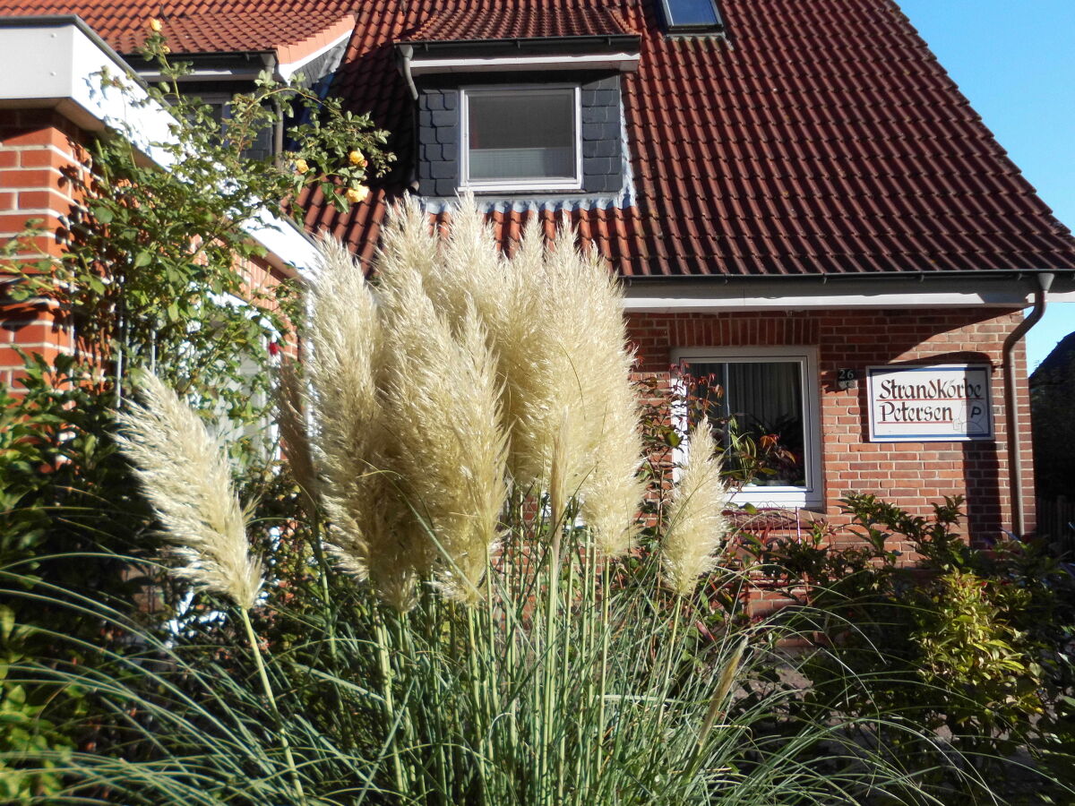 Pampas grass in front of the house