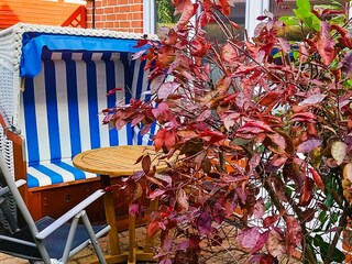 Vakantieappartement Hohwacht Buitenaudio-opname 3
