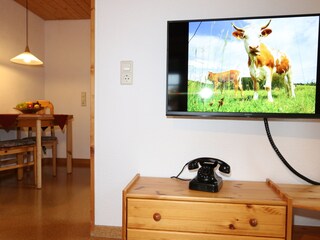 Wohn-/Schlafzimmer Wohnung 1 mit Blick ins Esszimmer