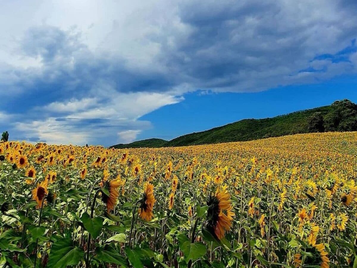 Unsere Landschaften