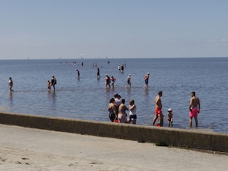 Ferienwohnung Dorum-Neufeld Umgebung 16
