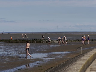 Ferienwohnung Dorum-Neufeld Umgebung 17