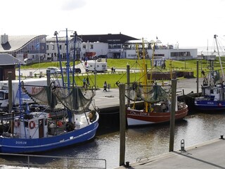 Ferienwohnung Dorum-Neufeld Umgebung 18