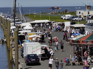 Ferienwohnung Dorum-Neufeld Umgebung 19