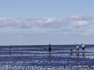 Ferienwohnung Dorum-Neufeld Umgebung 22