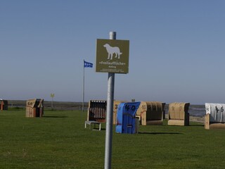 Ferienwohnung Dorum-Neufeld Umgebung 25