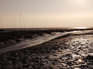 Ferienwohnung Dorum-Neufeld Umgebung 27