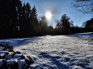 Holiday cottage Barvaux-sur-Ourthe Outdoor Recording 4