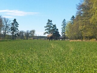 Casa per le vacanze Lidköping  26