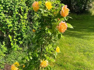 Casa per le vacanze Lidköping  14