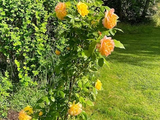 Vakantiehuis Lidköping  15