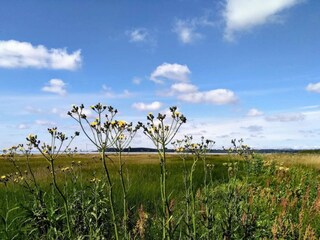 Maison de vacances Rønde  33