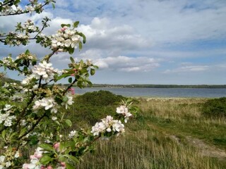 Vakantiehuis Rønde  28