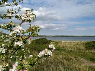 Maison de vacances Rønde  23