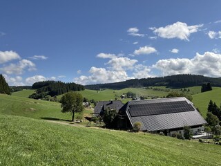 Appartamento per vacanze Breitnau Registrazione all'aperto 5