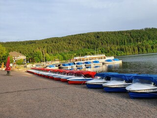 Appartamento per vacanze Breitnau Ambiente 20