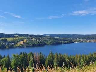 Appartamento per vacanze Breitnau Ambiente 21