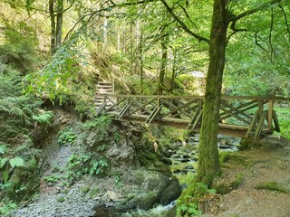 Appartamento per vacanze Breitnau Ambiente 27