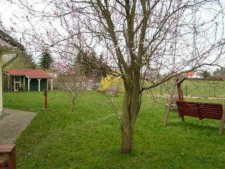 riesiger Garten