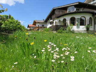 Appartement Bichlbach Omgeving 28