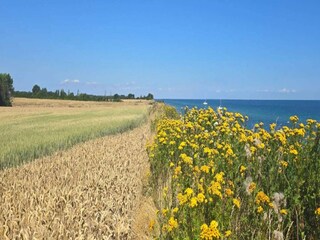 Casa per le vacanze Gedser Registrazione all'aperto 13