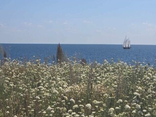 Casa per le vacanze Gedser Registrazione all'aperto 10