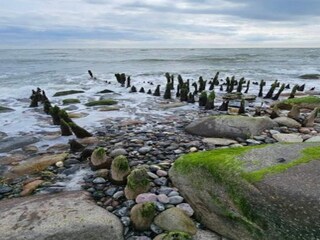 Vakantiehuis Gedser Buitenaudio-opname 8