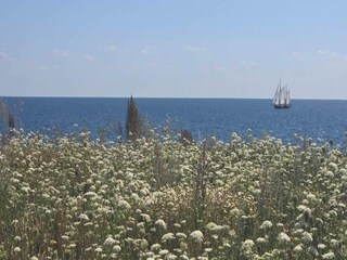 Casa per le vacanze Gedser Registrazione all'aperto 8