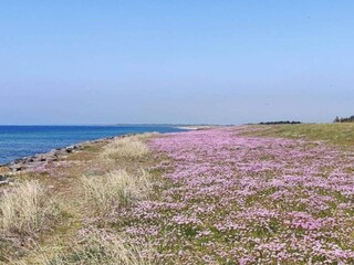 Vakantiehuis Dannemare Buitenaudio-opname 10