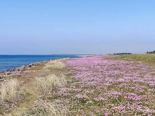 Maison de vacances Dannemare Enregistrement extérieur 14