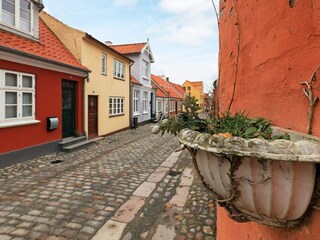 Ferienhaus Rudkøbing  4