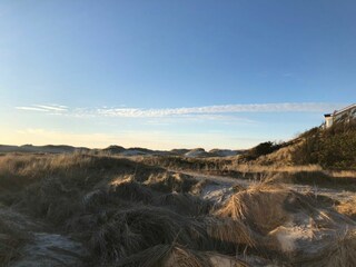 Appartamento per vacanze Borkum Ambiente 24