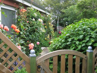 Appartamento per vacanze Borkum Registrazione all'aperto 3