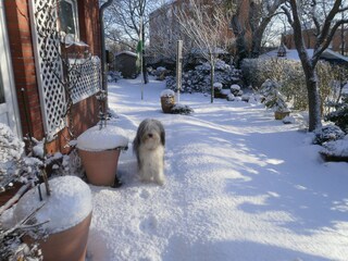 Appartamento per vacanze Borkum Registrazione all'aperto 4
