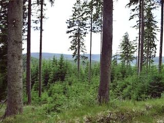 Apartment Gehren Umgebung 36