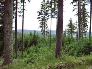 Apartment Gehren Environment 36