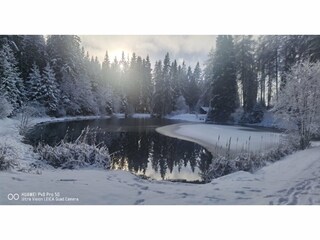 Apartment Gehren Umgebung 35