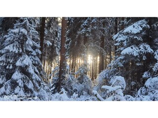 Apartment Gehren Umgebung 36