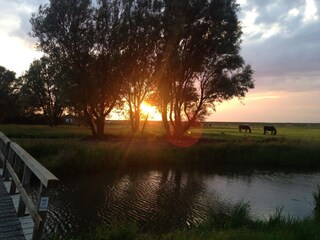 Vakantiehuis Groet Omgeving 28