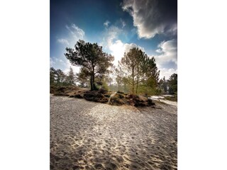 Vakantiehuis Groet Omgeving 27