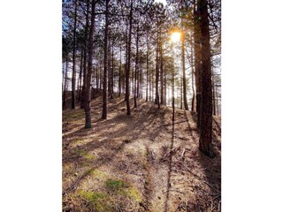 Casa per le vacanze Groet Ambiente 31