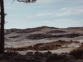 Vakantiehuis Groet Omgeving 32