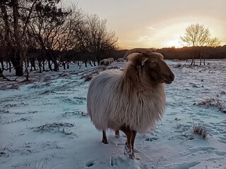 Casa per le vacanze Groet Ambiente 33