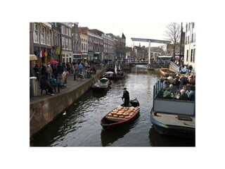 Vakantiehuis Groet Omgeving 36